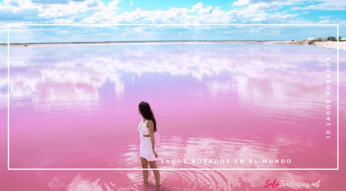 lagos rosados en el mundo